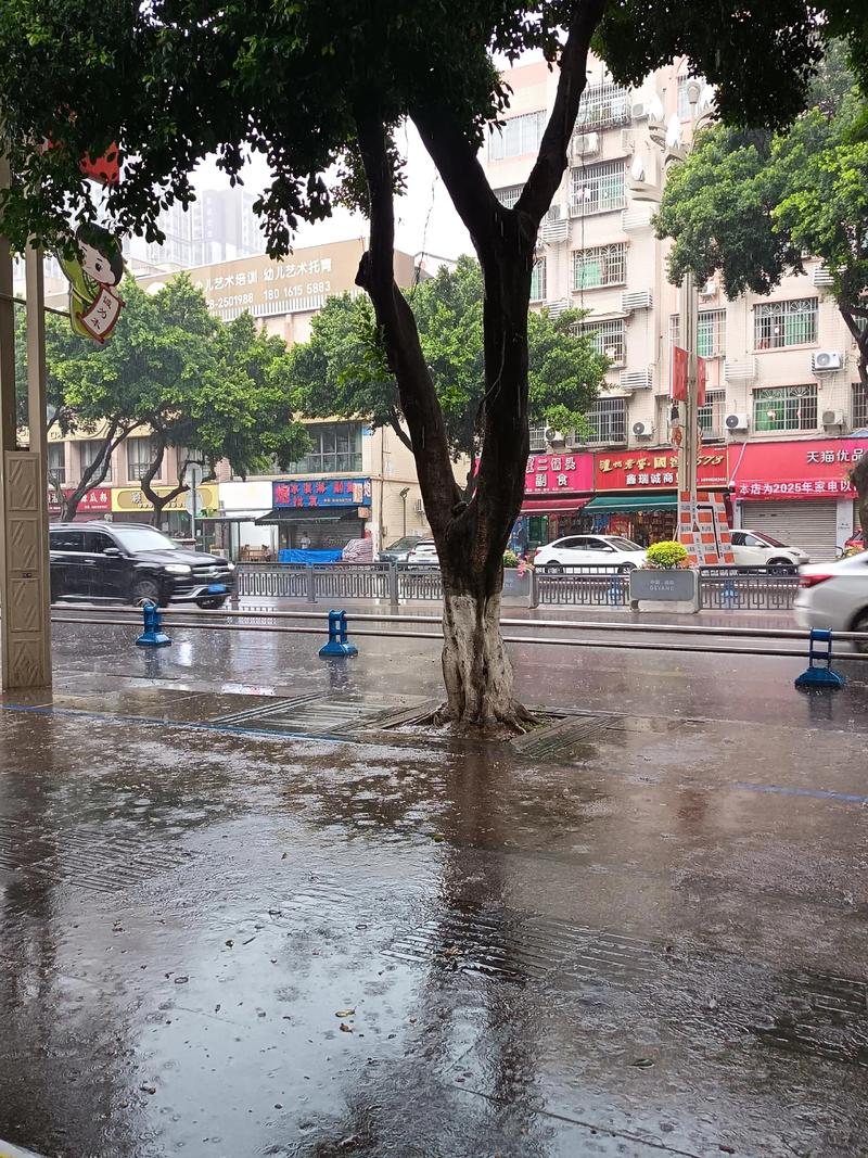 渭南大荔近几天的天气预报