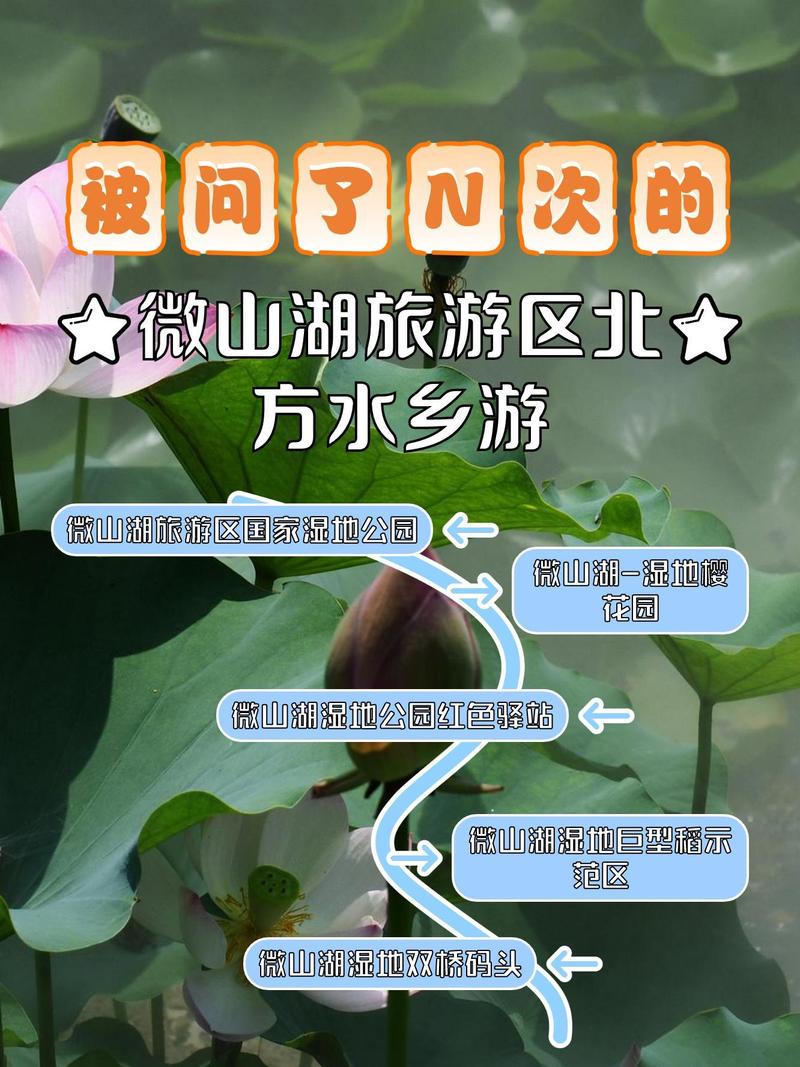 微山湖旅游区旅游,有什么注意事项需要了解?