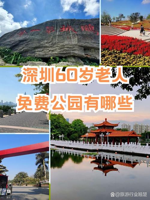 深圳旅游景点多少岁免费,深圳旅游景点老人多大免门票