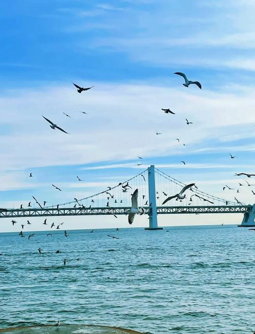 大连市前十著名景点