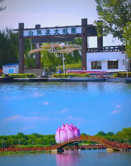 白洋淀最建议去的三个景点