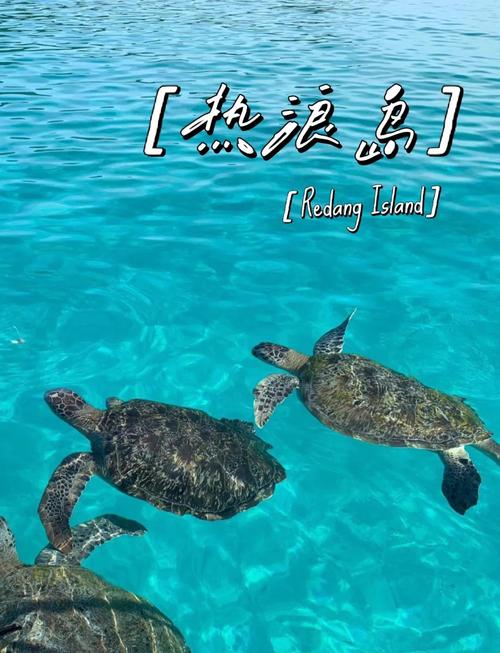 热浪岛2025开岛时间