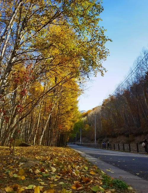 雨中喇叭沟门原始森林公园一日游