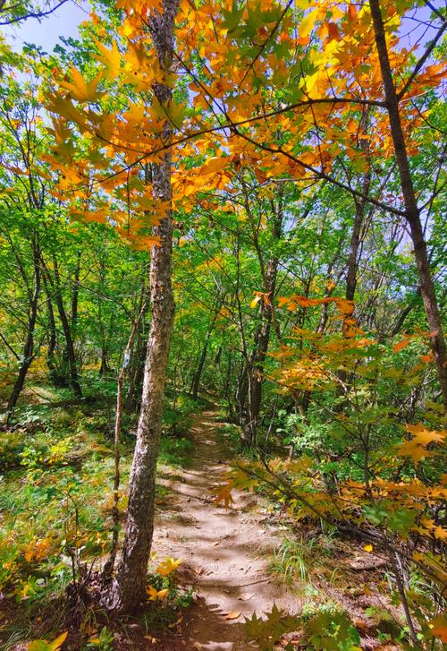 喇叭沟门旅游攻略