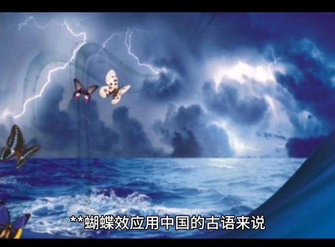 工地上大清早工棚飞来一大群蝴蝶是要下雨吗