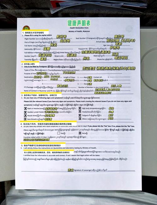 有没有去缅甸用电子签证的,麻烦告诉流程?