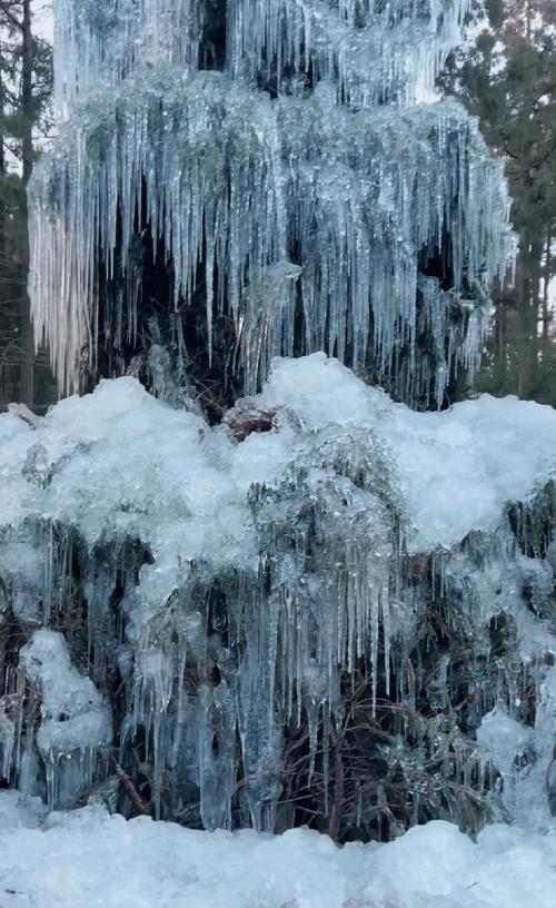 杭州西湖冻结冰了?