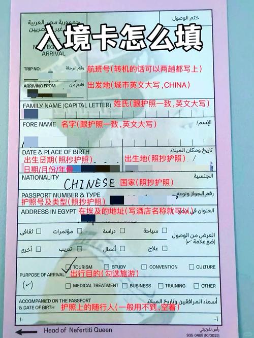 埃及签证有效期怎么延长?或者怎么能安全的办落地签?急!