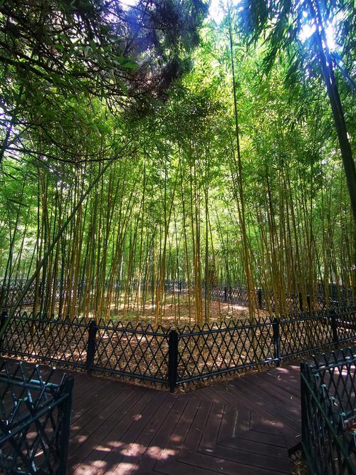 上海紫竹高新区附近景点