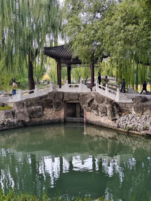 上海市闵行区天气