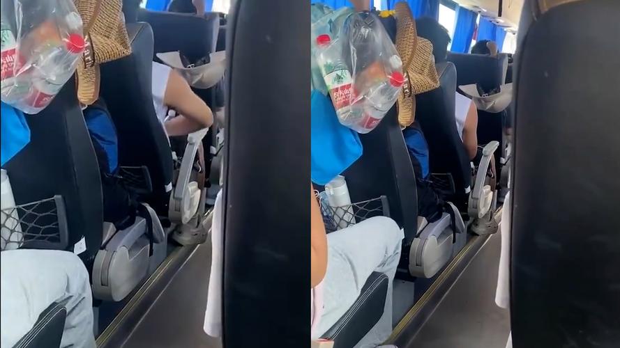 网曝!青海西宁一导游嫌游客购物少在车内发牢骚,这样的导游是否该罚?