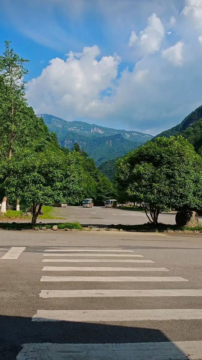 金佛山风景区天气,金佛山风景区天气预报一周