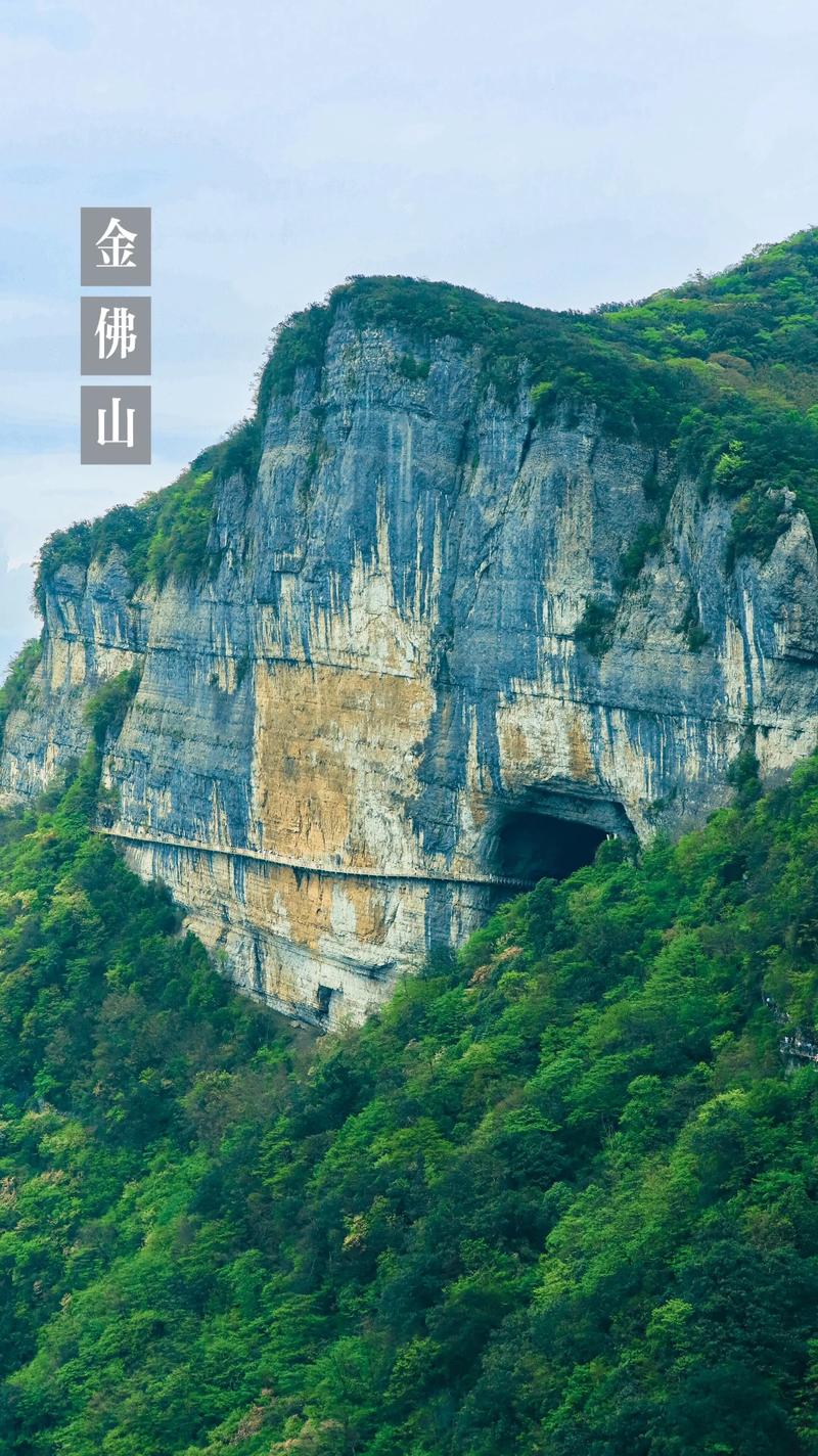 金佛山天气预报30天准确,金佛山天气预报30天准确天气