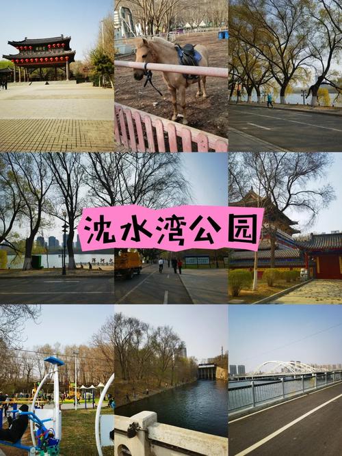 从仙女湖公园北,去沈水湾公园,坐啥公交车?