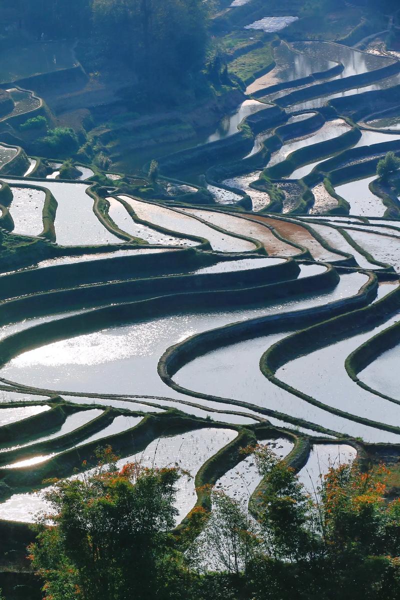 云南哈尼梯田最佳旅游时间