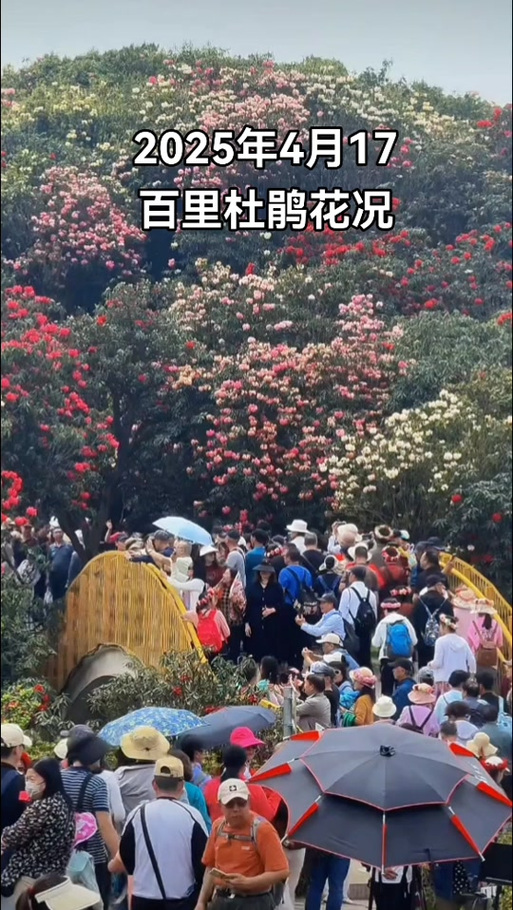 墨迹天气是哪个公司开发的软件