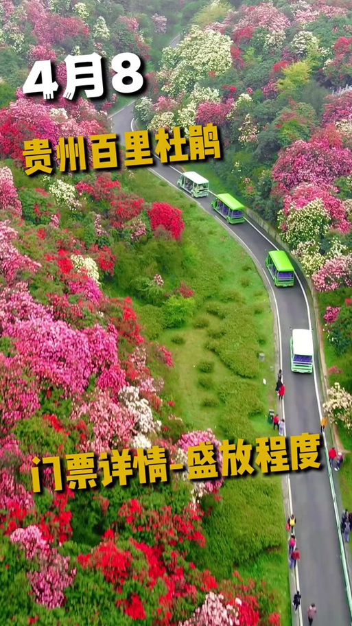 天气预报APP哪个好?墨迹天气用科技“开启世界新气象”