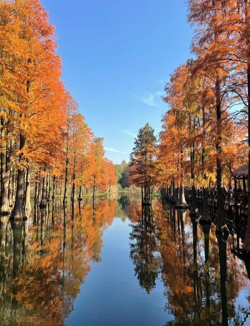 上海郊区有好玩的地方吗