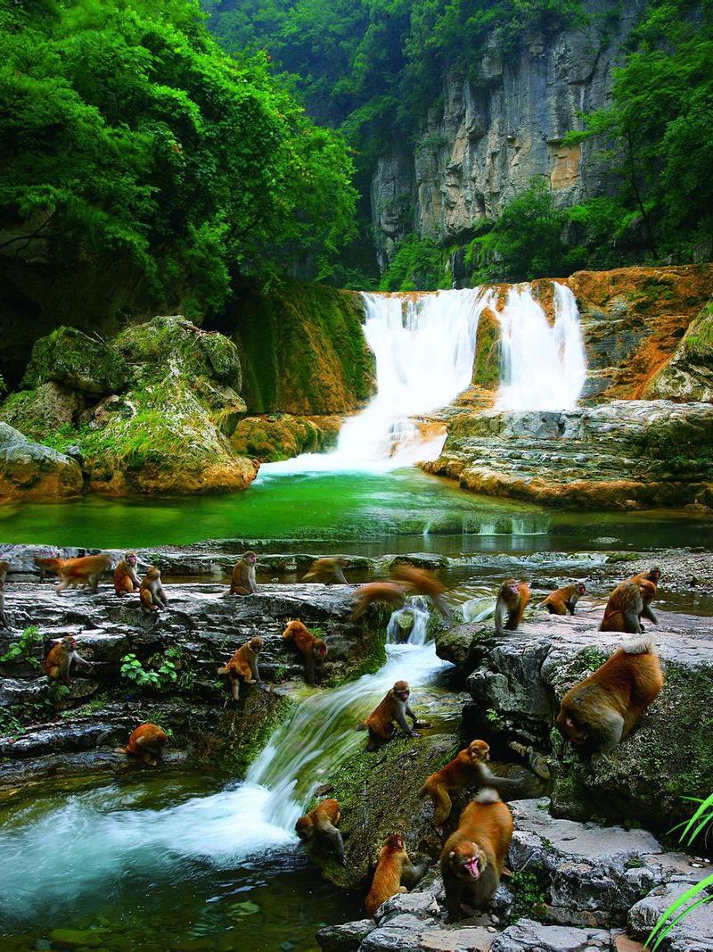 晋城一日游必去的地方