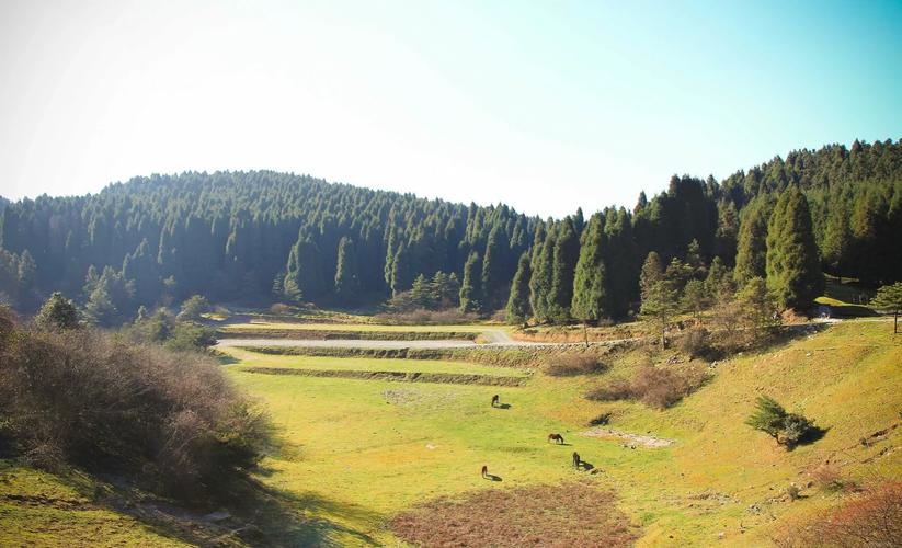 武隆仙女山温度天气预报,重庆武隆仙女山天气预报15天查询