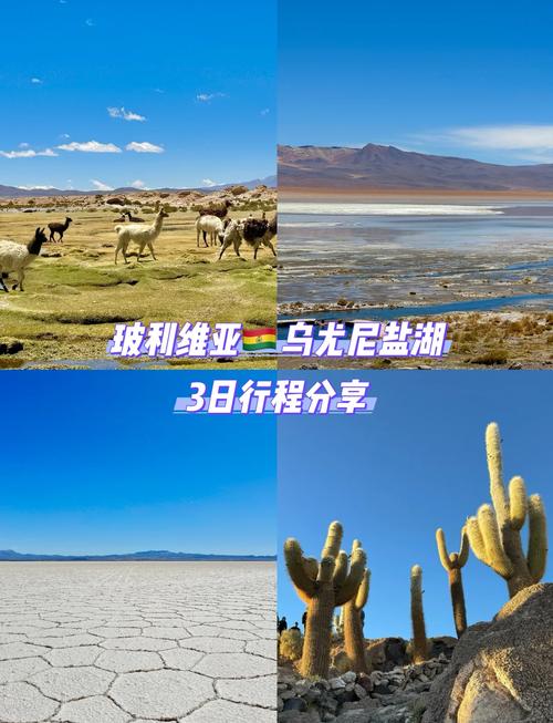 去玻利维亚旅游有哪些注意事项