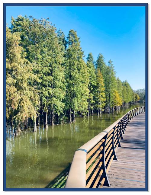 上海崇明岛旅游景点