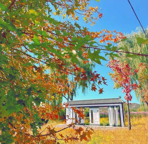 红星坪自驾游攻略_延庆柳沟村旅游攻略