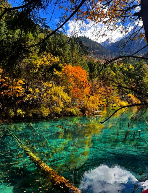 成都九寨沟四日游,自驾游攻略+景点推荐