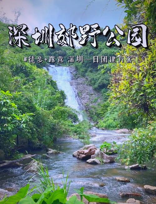 深圳马峦山一日游攻略——一个人的独行