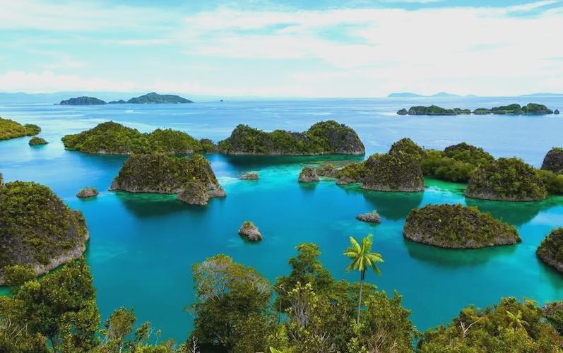 巴布亚新几内亚回国最新政策