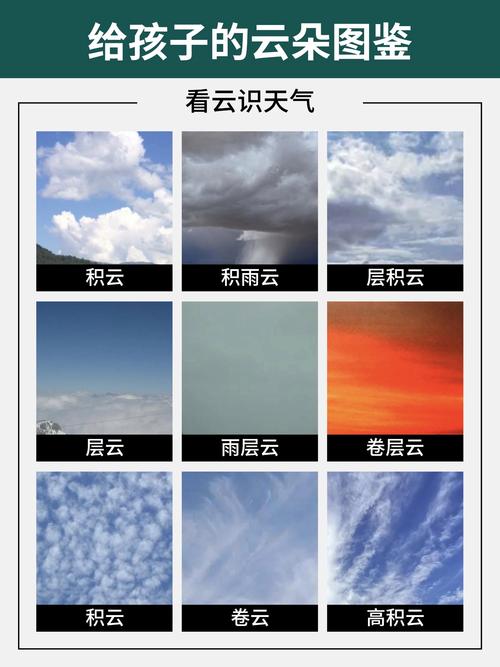 中关村街道2024-02-29天气预报(北京,海淀,)