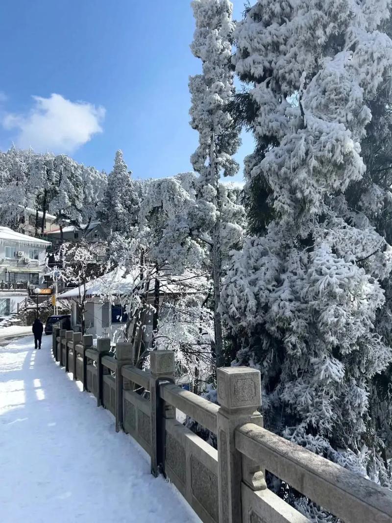 庐山一月份会下雪吗