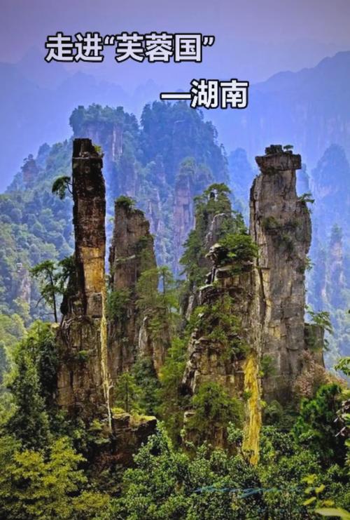 长沙适合中老年人旅游的地方有哪些