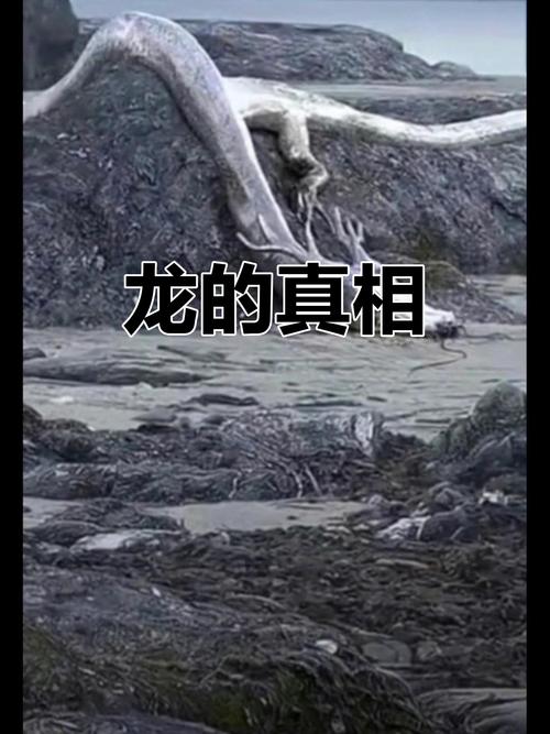 查干湖自驾游最佳攻略,扶余周边旅游攻略自驾游团