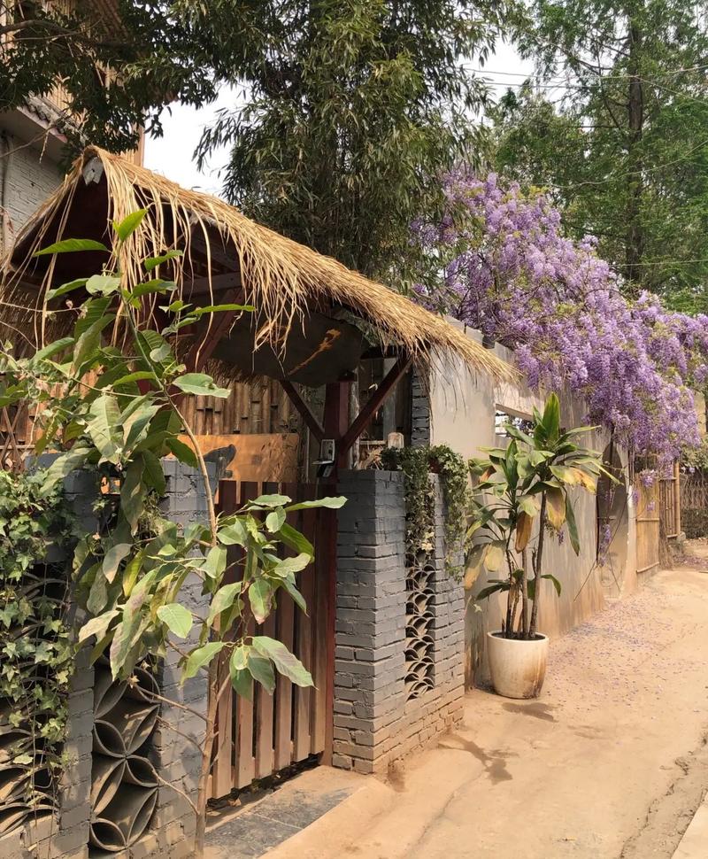 三圣花乡旅游攻略(2021三圣花乡旅游攻略)