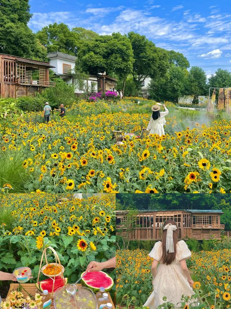 四川旅游攻略最佳路线,2021年最新四川旅游攻略