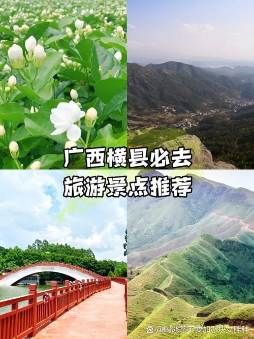 横县前十旅游景点(广西横州前十景点)