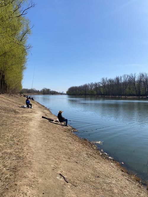 上海市嘉定区天气预报