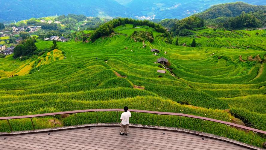 浙江丽水两日游