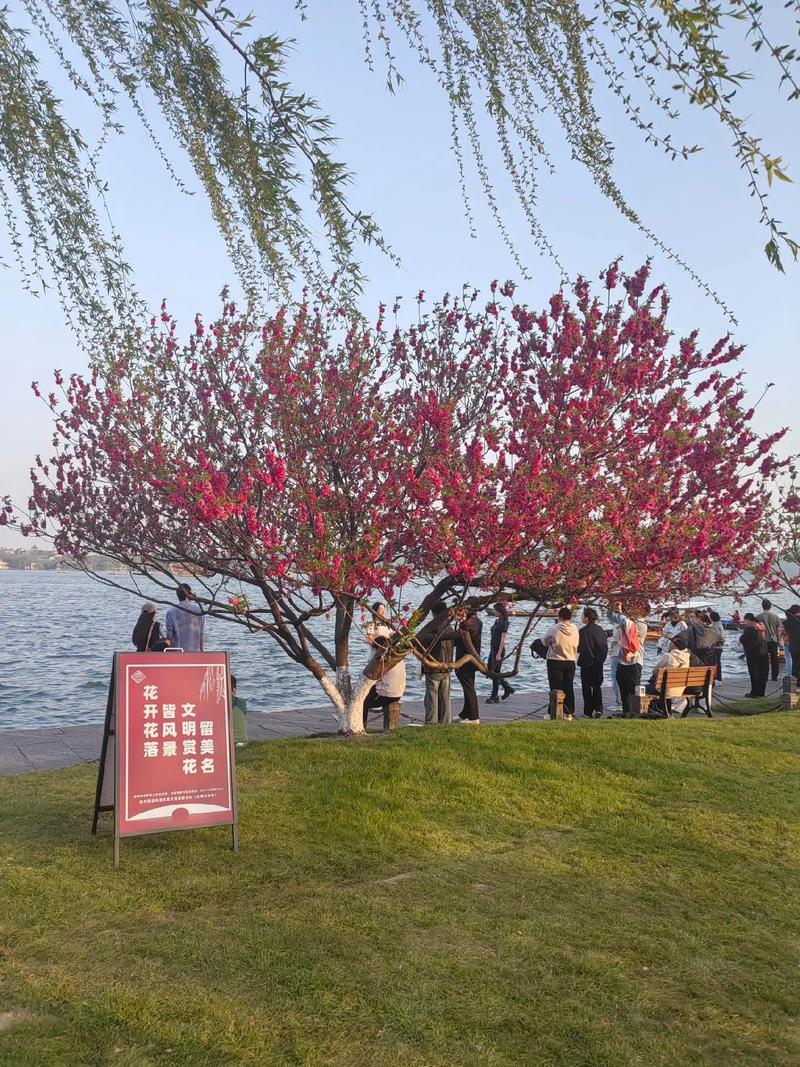 2021清明节去杭州玩天气好吗