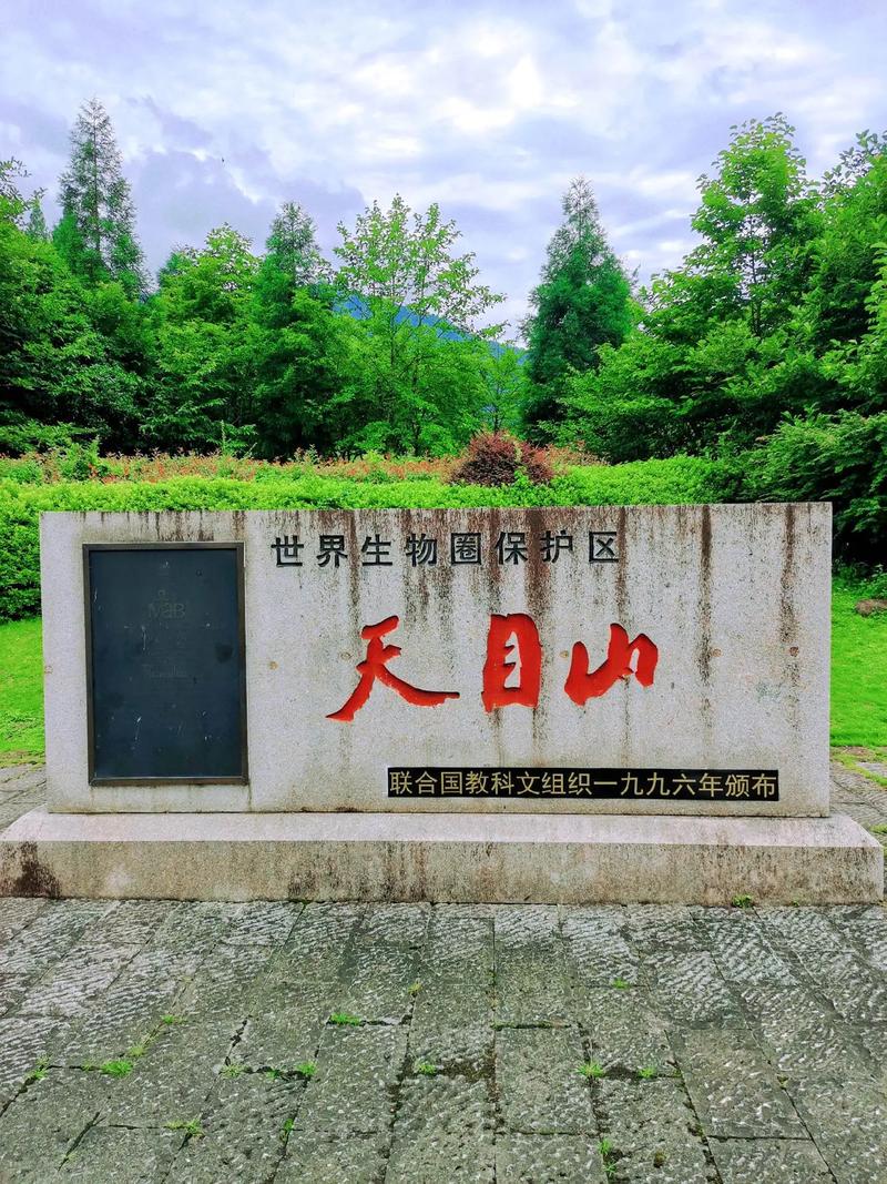 去浙江旅行有哪些小众景点值得打卡?