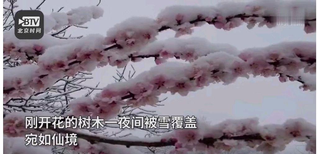 7·15甘肃秦安泥石流详情