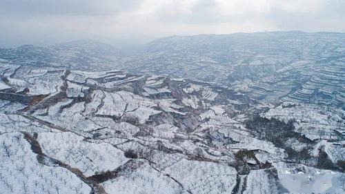 秦安未来四十八小时分时天气预报