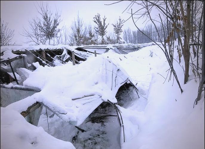 谁有2008雪灾中涌现的感人事迹?需要!!