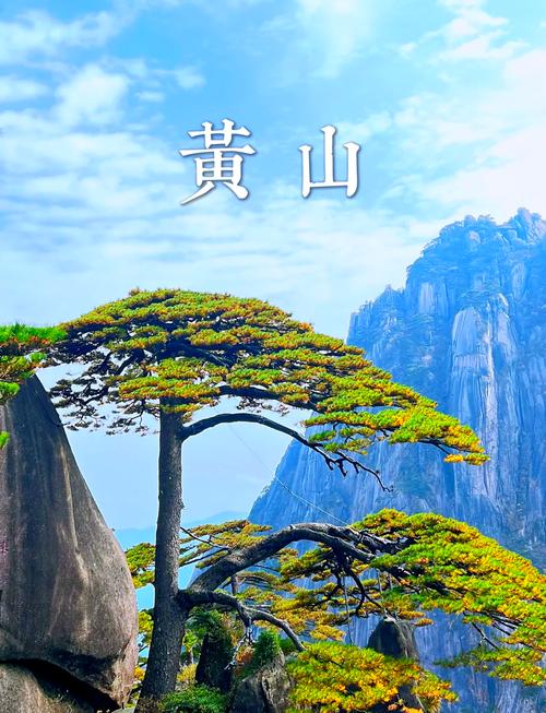 黄山有哪些好玩的景点,里面有什么东西