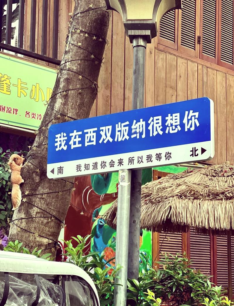 出发云南西双版纳旅游怎么发朋友圈