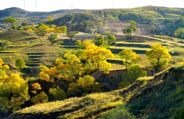 右玉县旅游景点