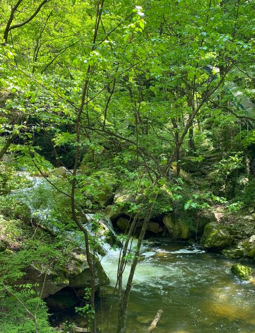 踏青、摄影、写生“春之游”:太平国家森林公园一日游