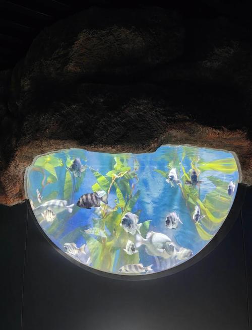 2023青岛12家国有A级旅游景区免首道门票政策(优惠详情攻略)