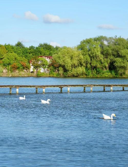 崇明岛一日游求自由行攻略
